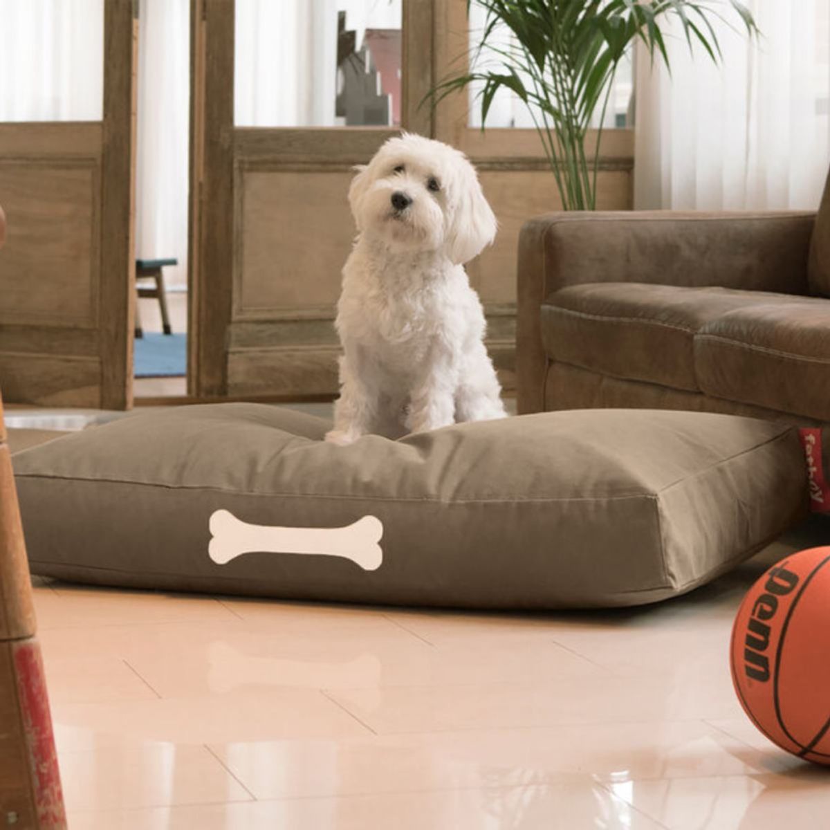 Doggielounge Large Canvas Fatboy